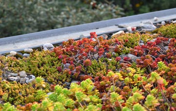 the cost of Porth Kea green roof installation