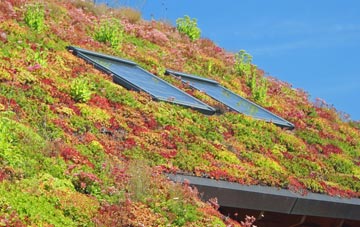 Porth Kea living roof systems